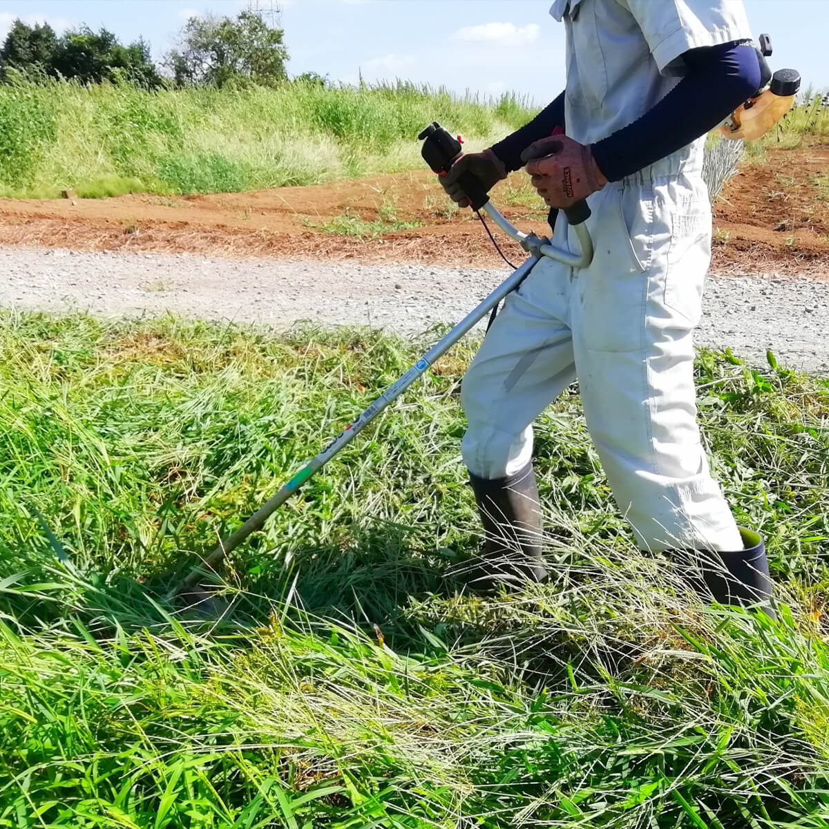 刈払機取扱作業特別教育